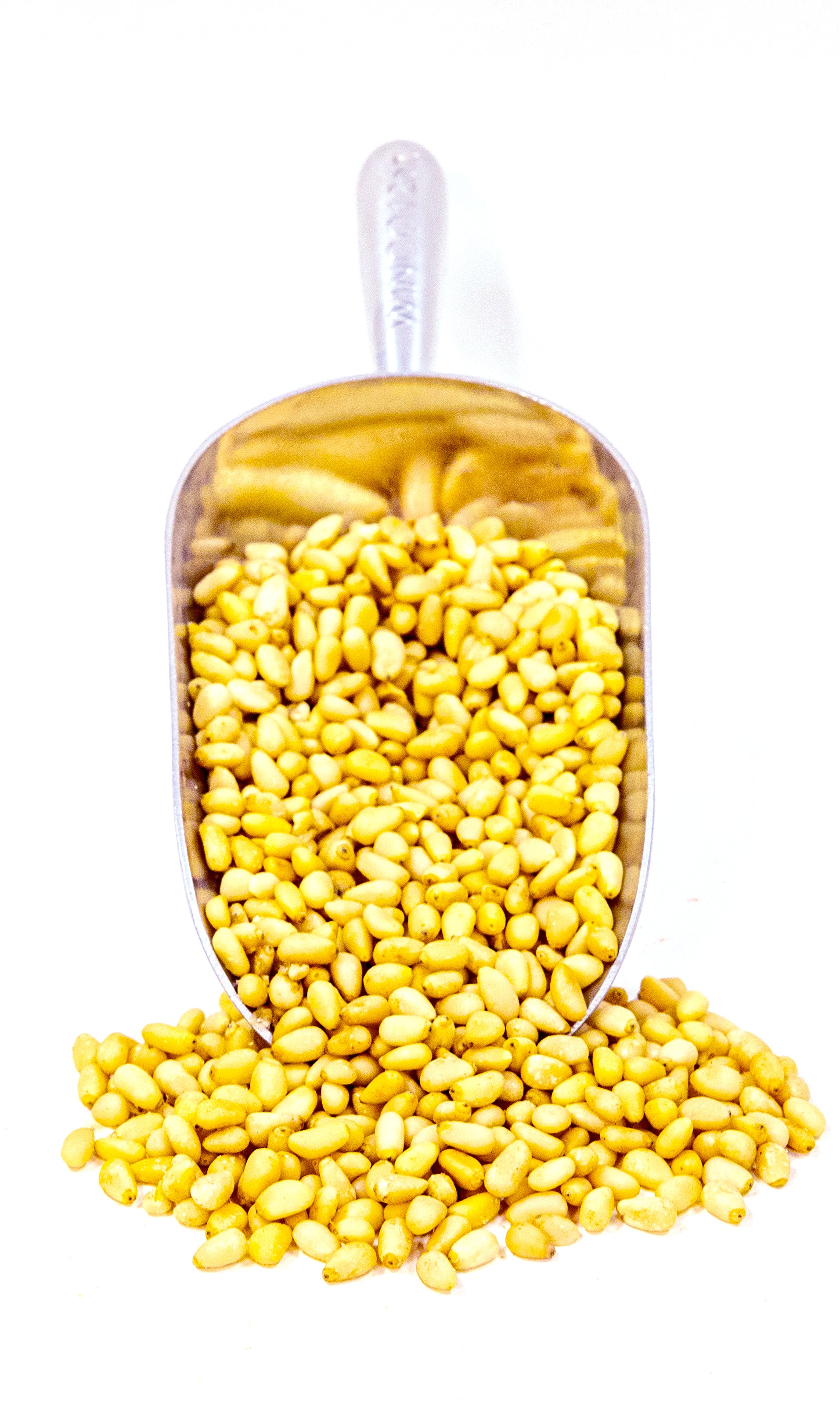 Raw Pine Nuts Out of the Shells