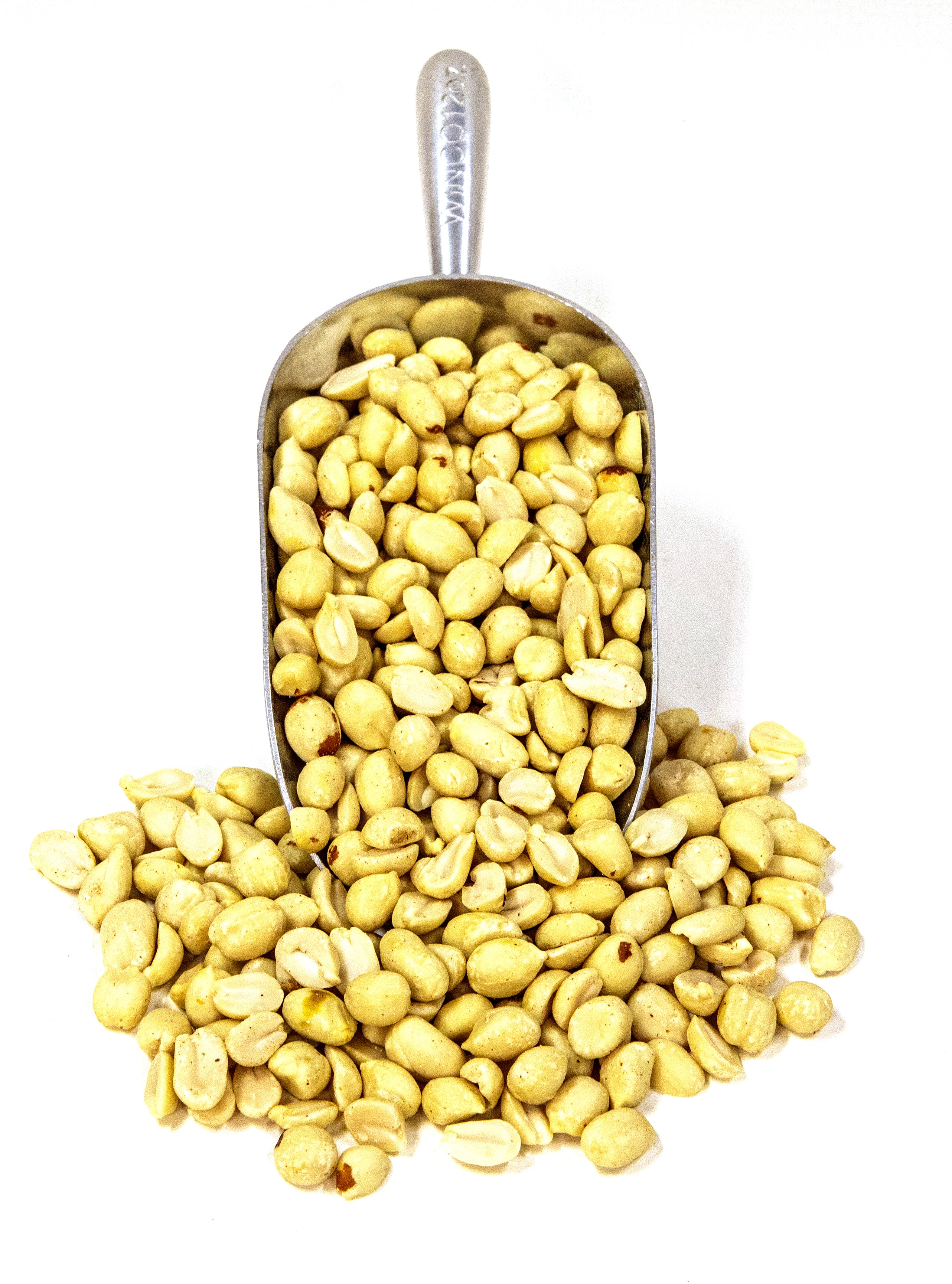 Raw Blanched Peanuts