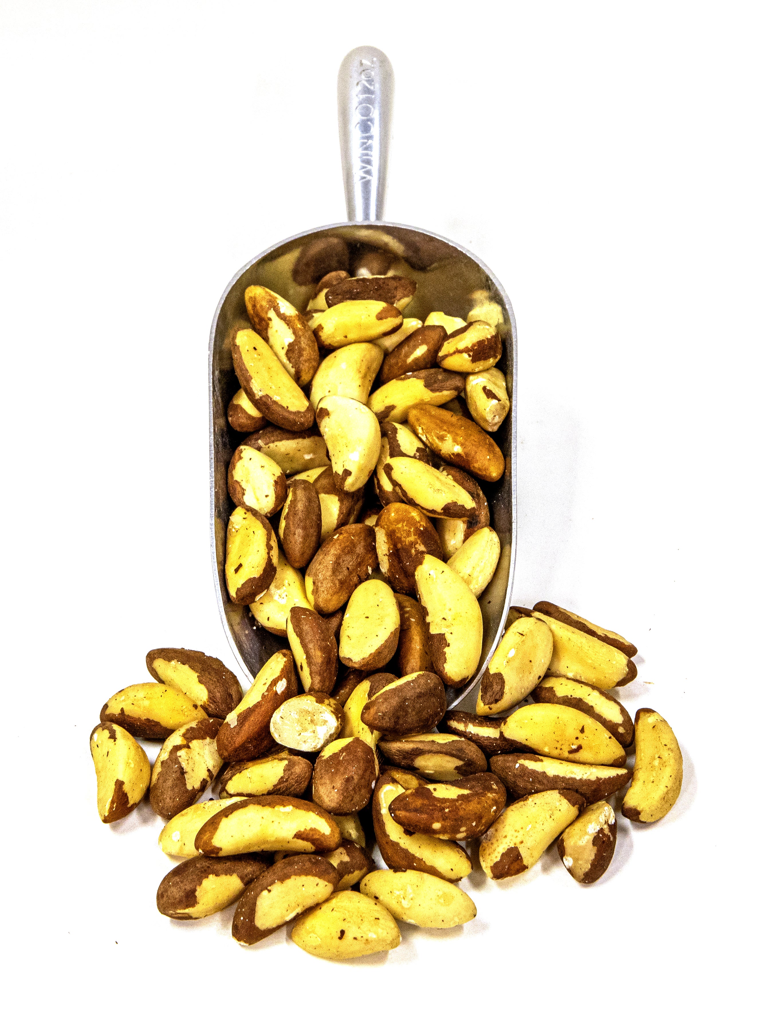 Raw Whole Brazil Nuts