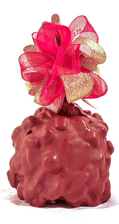 Smores Caramel Apple