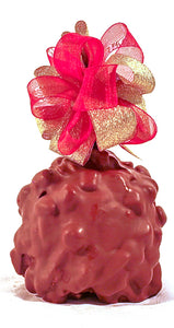 Smores Caramel Apple